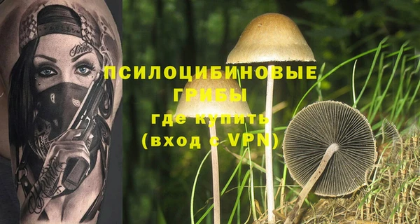 mdpv Кукмор