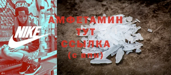 молекула духа Невель
