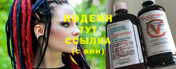 apvp Краснослободск