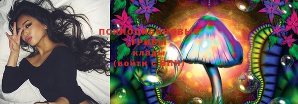 МДПВ Красноперекопск