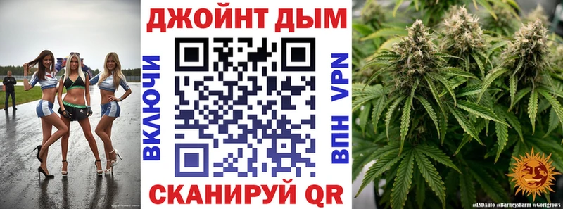 где купить наркоту  Суровикино  Бошки Шишки гибрид 